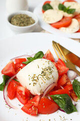 Salad Caprese, concept of tasty and delicious food