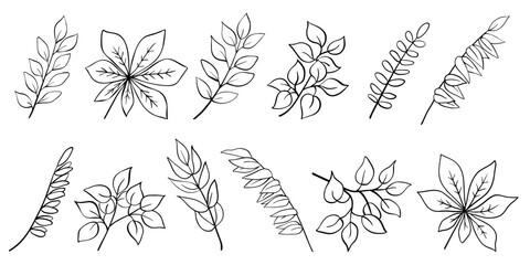 Tree branch collection, twigs and leaves of acacia, laurel, birch, willow, chestnut. Hand drawn outline sketch isolated on white. Vector for nature and botany illustration, floral and organic design. - obrazy, fototapety, plakaty