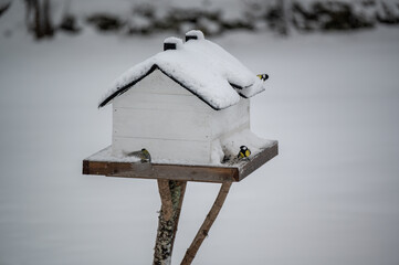 Bird feeder miniature house a cold winter day