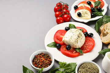Salad Caprese, concept of tasty and delicious food