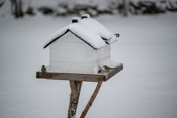 Bird feeder miniature house a cold winter day
