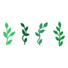 green leaves isolated on white background