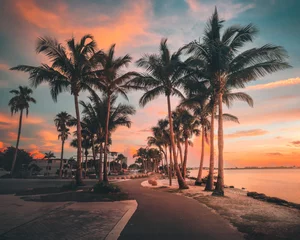 Photo sur Plexiglas Clearwater Beach, Floride Florida Outdoors