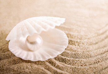 seashell with pearls on a sandy beach with a place for text