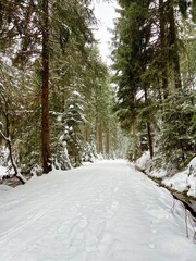 Das Schwarzwassertal zwischen ünhaide und Pobershau im Erzgebirge