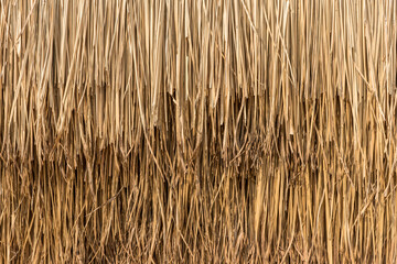 Straw roof from dry grass, Close up yellow straw wall texture background - 691841335