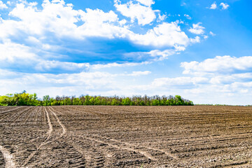 Photography on theme big empty farm field for organic harvest