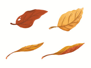 Set of dry fall autumn leaf watercolor illustration