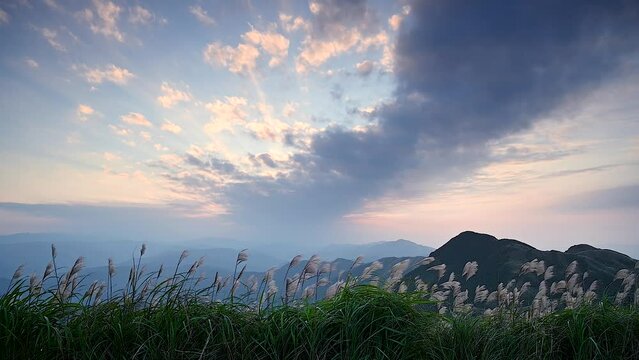 The top of the mountain is covered with silver grass flowers at sunset. Enjoy the warm winter sunshine and fresh air. Ruifang Caoshan Hiking Trail.