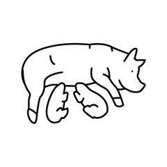pig piglets farm line icon vector. pig piglets farm sign. isolated contour symbol black illustration © vectorwin