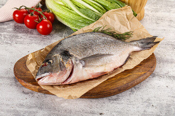 Raw dorada fish served rosemary