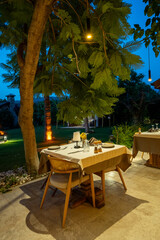 Food with stylish food plate