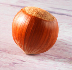 Oregon Giant, Haselnuss, isoliert, Nuss, Nussschale, 