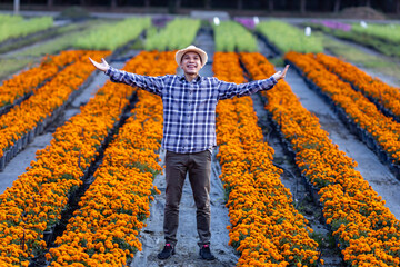 Asian gardener is welcoming people into his cut flower farm full of orange marigold for medicinal...