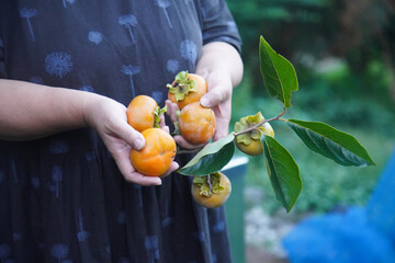 柿を持つ女性