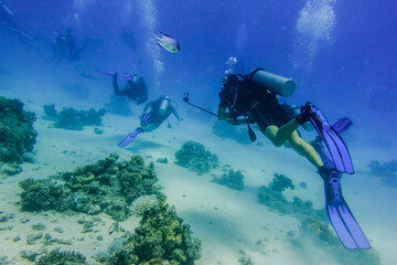 divers near the sandy seabed in clear blue water in marsa alam