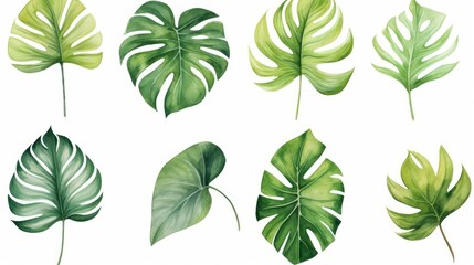 Set monstera leave watercolor painting for cards, wedding invitation and birthday cards, Generative AI - obrazy, fototapety, plakaty