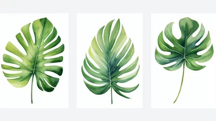 Foto op Plexiglas Set monstera leave watercolor painting for cards, wedding invitation and birthday cards, Generative AI © Mehta Snaps