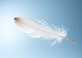 A minimalist composition of a white feather floating in mid-air against a white background. The