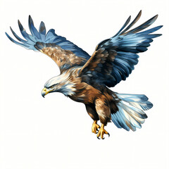 Illustration Of A Flying Eagle, a bird flying in the air. - obrazy, fototapety, plakaty