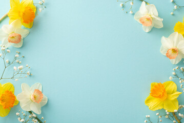 Witness magic of spring with daffodils in full blossom. Top-down shot captures the allure of flowers, complemented by gypsophila on a serene pastel blue background, perfect for text or advertisement