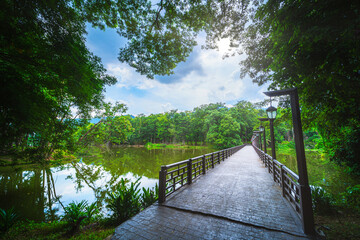 Fototapeta premium a public place leisure travel landscape the wooden bridge lake views at Ang Kaew Chiang Mai University and Doi Suthep nature forest Mountain views spring cloudy sky background with white cloud.