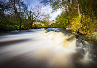 stream in the forest