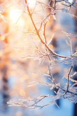 Obraz premium Glistening ice on tree branches, nature in winter