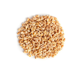 Wheat Grains, Barley Pile, Dry Cereal Seeds, Wheat Grains Heap on White