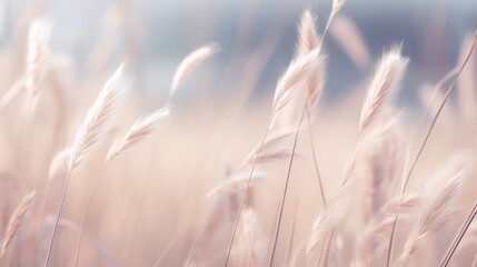 A serene landscape showcasing the tranquil beauty of soft wheat grasses swaying gently, with a calming, beige background that embodies simple, minimalist aesthetics. - obrazy, fototapety, plakaty
