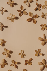 Elegant delicate dried star flowers on neutral tan beige background. Blank mockup copy space template. Flat lay, top view aesthetic flower composition