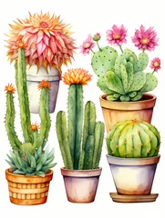 Glasschilderij Cactus in pot Cactus Potted Watercolor Painting, a group of cactus in pots.