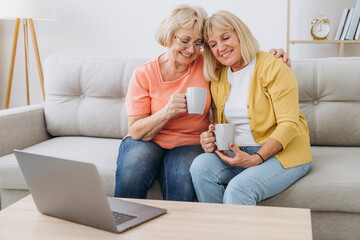 Two happy elderly retired female sitting at living room table and watching on laptop