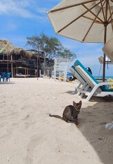 Beach mood, Beach Vacation, Cartagena, Nature, paradise and Coastal scenery