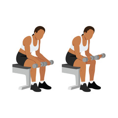 Woman doing seated dumbbell palm down wrist curls or forearm curls exercise. Flat vector illustration isolated on white background