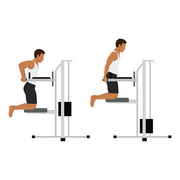 Man doing dips on parallel bars in the gym exercise. Flat vector illustration isolated on white background