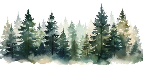 Christmas trees Vector watercolor illustration,Forest, fir trees, pine trees, Forest watercolor illustration - obrazy, fototapety, plakaty