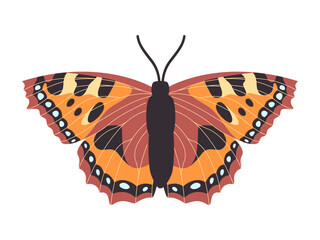 small tortoiseshell colorful butterfly wild nature insect animal have antenna and cute beautiful wing with soft texture