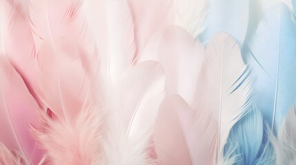 Delicate arrangement of feathers, artistically laid out to create a serene background with a palette of soft pastel hues, embodying a minimalist aesthetic.