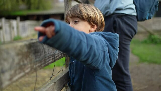 4 year old boy observing farm from wooden fence, curious child wearing jacket at farmland organic agriculture looking at animals and pointing during autumn fall day