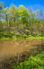 Obraz premium The Ohio River at Hopewell Culture National Historical Park in Ohio