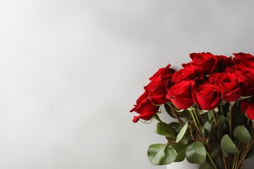 a bouquet of red roses is located on the left and 2/3 of the free space on the right on a light background