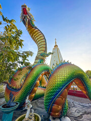 Wat Phra That Nong Bua, in Ubon, Thailand