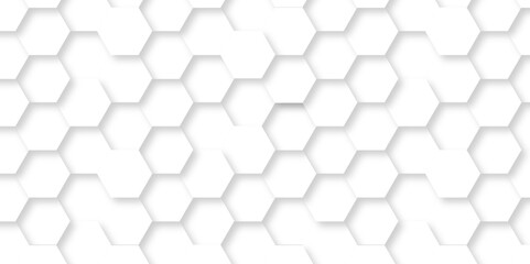 Background with hexagons White Hexagonal Background. Luxury honeycomb grid White Pattern. Vector Illustration. 3D Futuristic abstract honeycomb mosaic white background. geometric mesh cell texture.