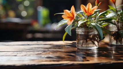 Alley Botanical Garden, HD, Background Wallpaper, Desktop Wallpaper