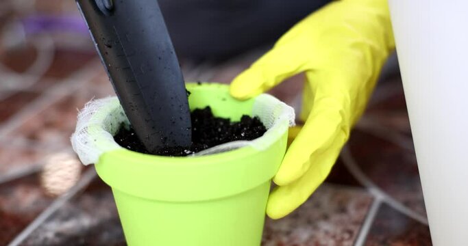 Hands of woman gardener, transplants plants and pours groot into flower pot. Flower business and gardening of houses and offices