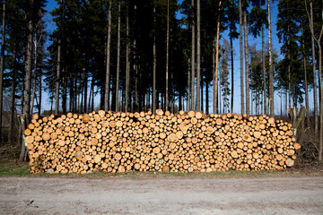 Fichtenholz als Prügel für Brennholz