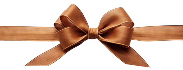 Brown ribbon and bow, cut out