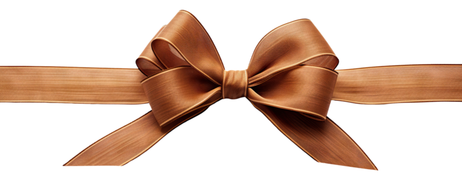 Brown ribbon and bow, cut out