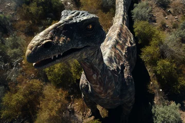 Photo sur Plexiglas Dinosaures Dinosaurier aufgenommen von einer Drohne aus
